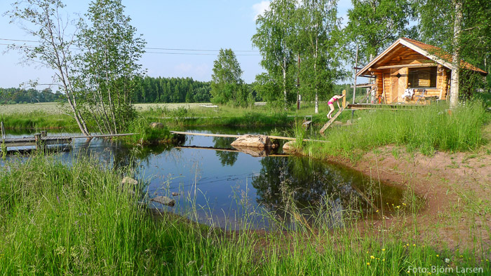 Sommar vid dammen