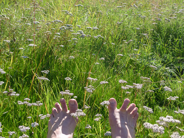 Sommarfeeling