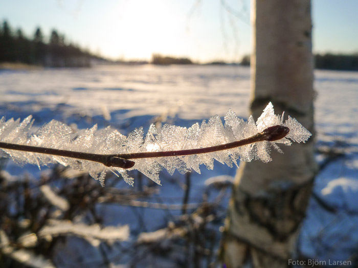 Snökristaller