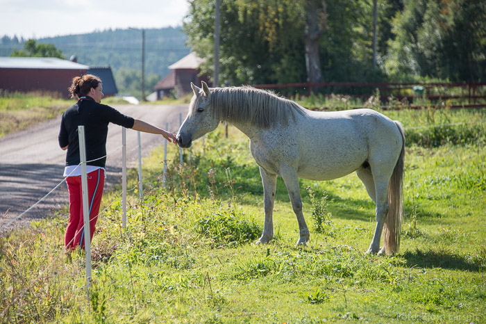 Jenny och dalahästen
