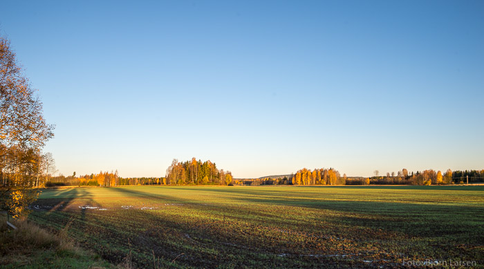 Klar höstmorgon