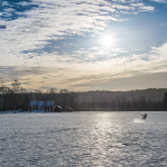 Kite på fältet