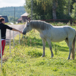 Jenny och dalahästen