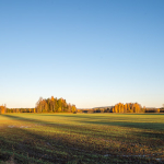 Klar höstmorgon