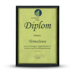 TermoSense - Venture Cup-diplom